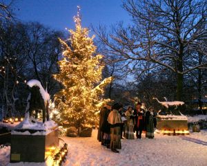 Amsterdam on Things To Do In Amsterdam January 2013