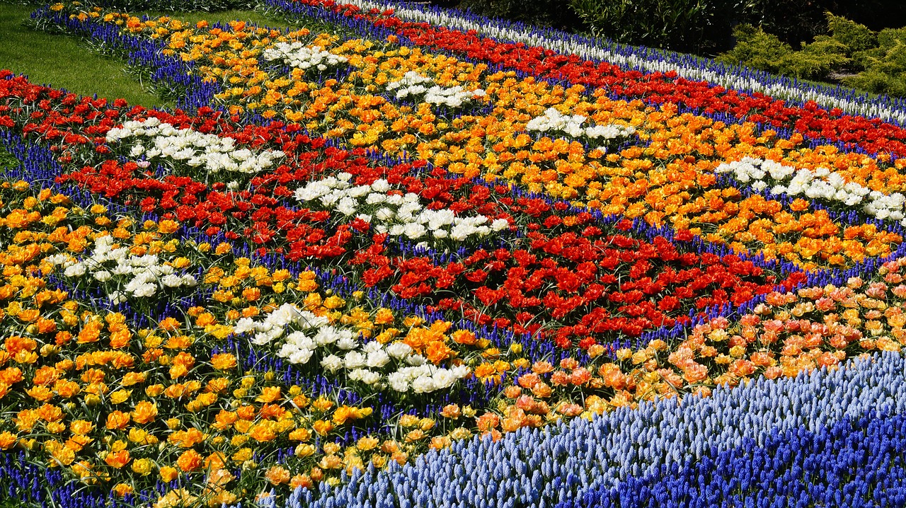 Best time to visit Amsterdam! Check out top Amsterdam Concerts in May 2024, and Keukenhof gardens are in full blossom!