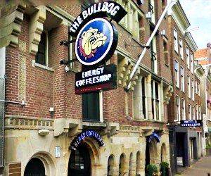 The Bulldog Hotel Amsterdam hostel