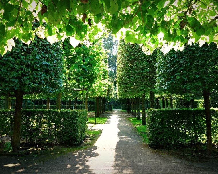 Dutch Garden in Amsterdam