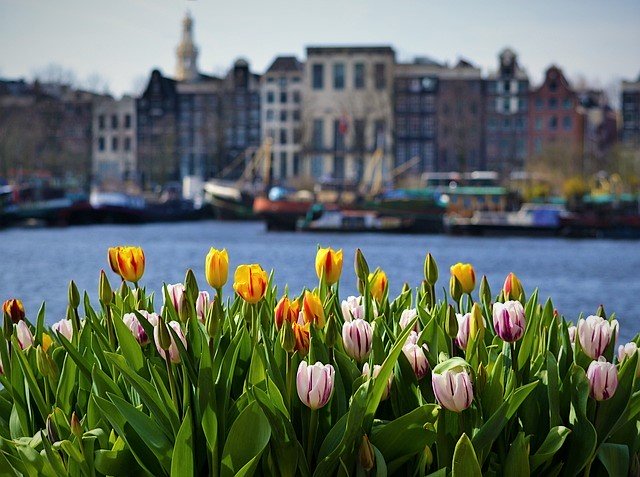 Kings Day celebration, spring festivals, tulip fields and Keukenhof Gardens, and many other things to do in Amsterdam in April 2024!