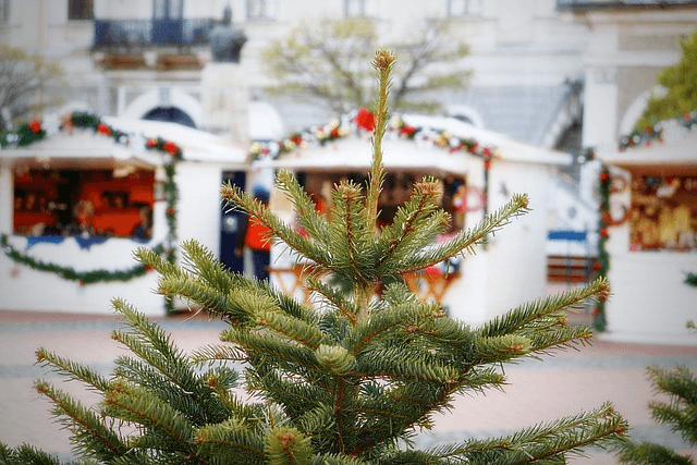Christmas market tree
