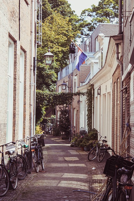 Haarlem City Tour from Amsterdam