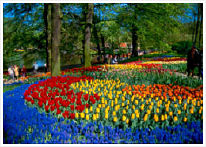 Keukenhof Gardens 2023 in Lisse, Netherlands