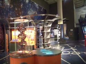 nemo amsterdam, amsterdam to go