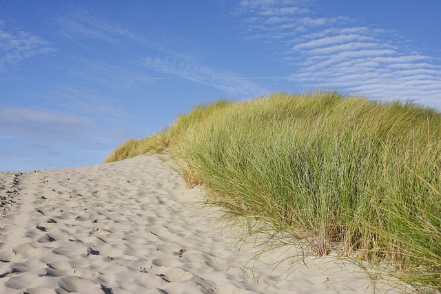 Netherlands Beach near Amsterdam