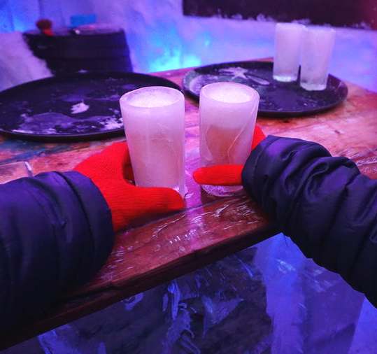 Amsterdam Icebar Xtracold (photo by Viator)